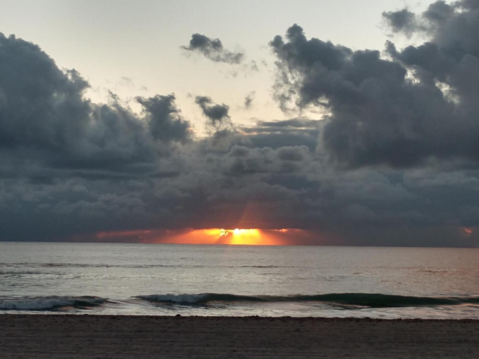 Super 8 Motel By Wyndham Near Fort Lauderdale Arpt Dania Beach Ngoại thất bức ảnh