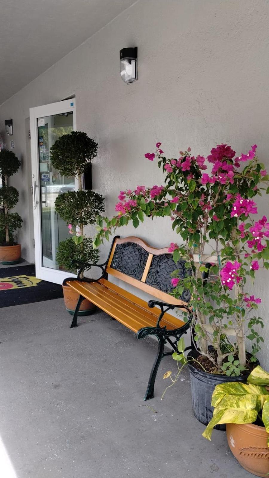 Super 8 Motel By Wyndham Near Fort Lauderdale Arpt Dania Beach Ngoại thất bức ảnh
